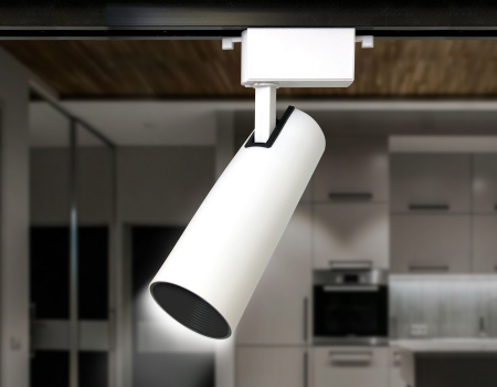 Ambrella Light GL5852