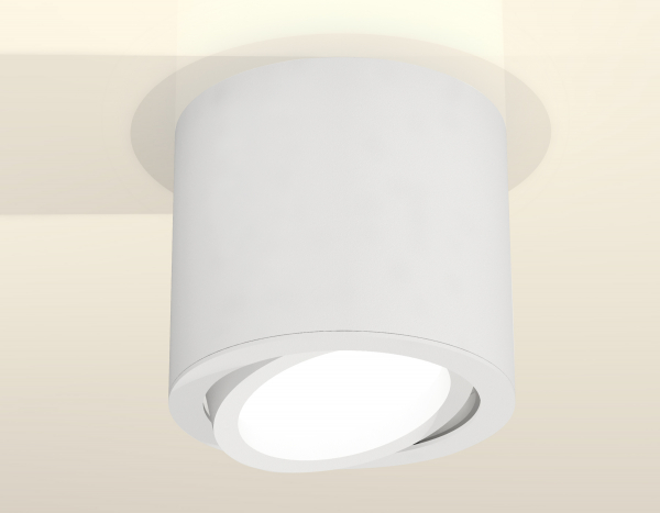 Накладной поворотный светильник Ambrella Light Techno XS7401001 (C7401, N7001)