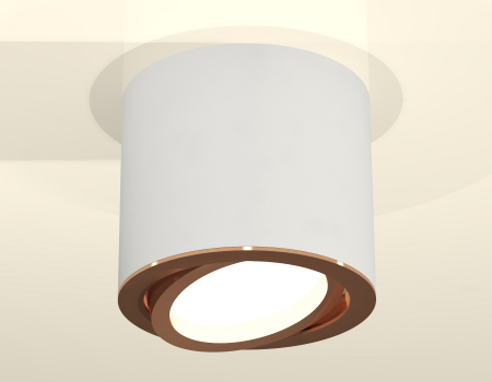 Ambrella Light XS7401005