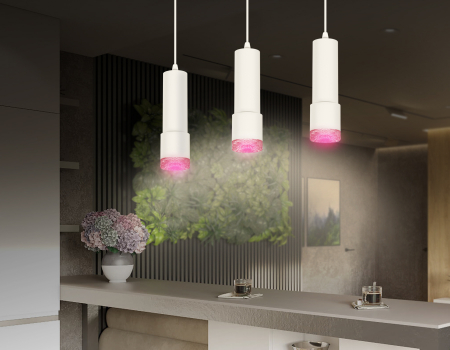 Ambrella Light XP7401003