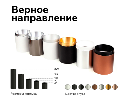 Ambrella Light N6124