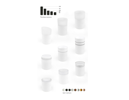 Ambrella Light N6228