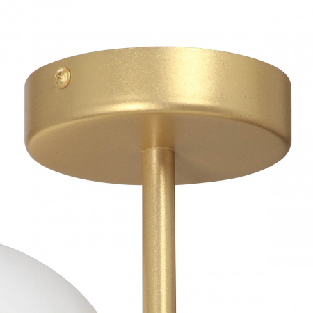 Vitaluce V2935-8/2PL