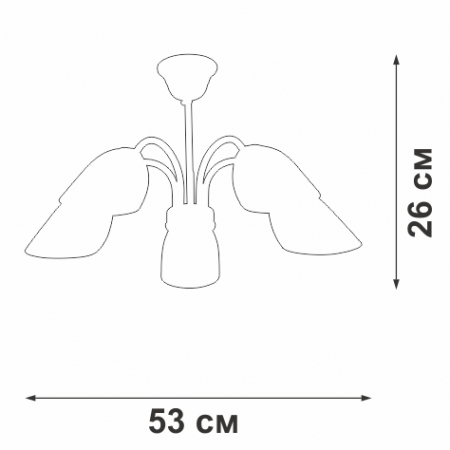 Vitaluce V3335-7/5PL