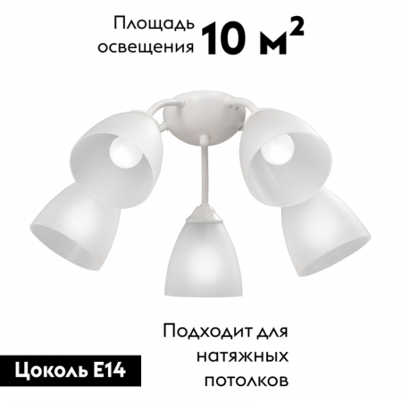 Vitaluce V3737-0/5PL