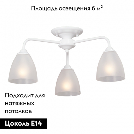 Vitaluce V3946-0/3PL