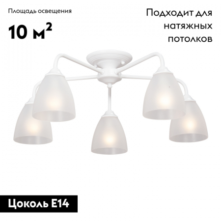 Vitaluce V3946-0/5PL