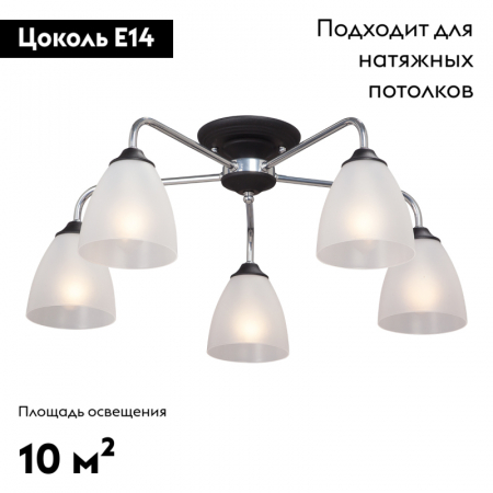 Vitaluce V3946-1/5PL