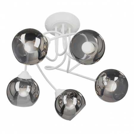 Vitaluce V4309-0/5PL