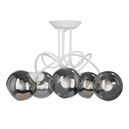 Vitaluce V4309-0/5PL