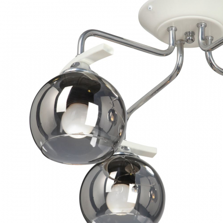 Vitaluce V4910-0/4PL