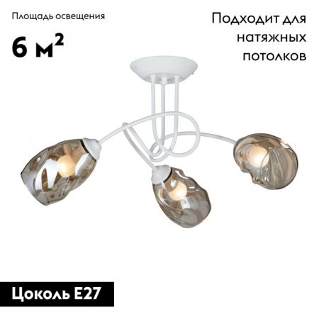 Vitaluce V4926-0/3PL