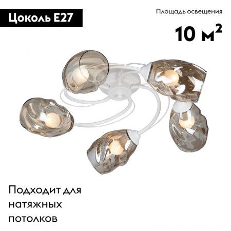 Vitaluce V4927-0/5PL