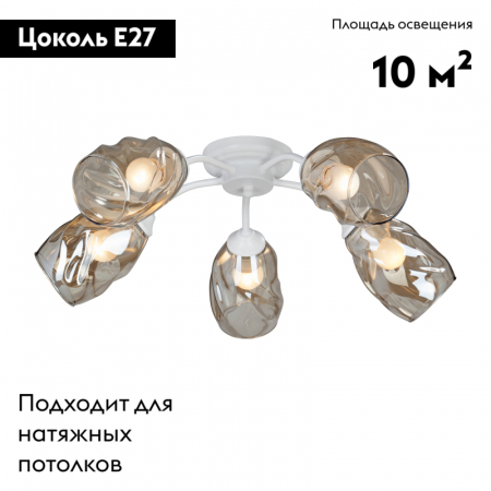 Vitaluce V4929-0/5PL