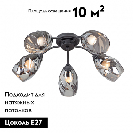 Vitaluce V4936-1/5PL