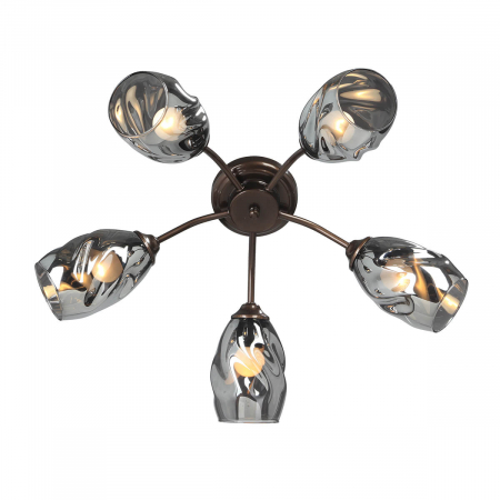 Vitaluce V4936-7/5PL