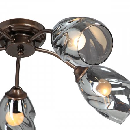 Vitaluce V4936-7/5PL