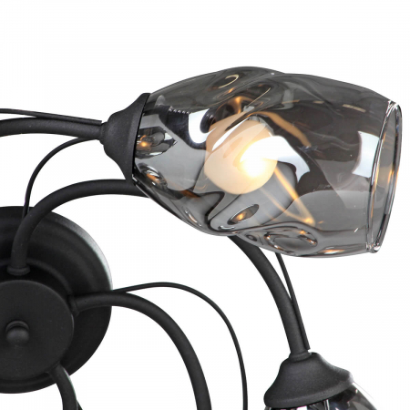 Vitaluce V4937-1/5PL