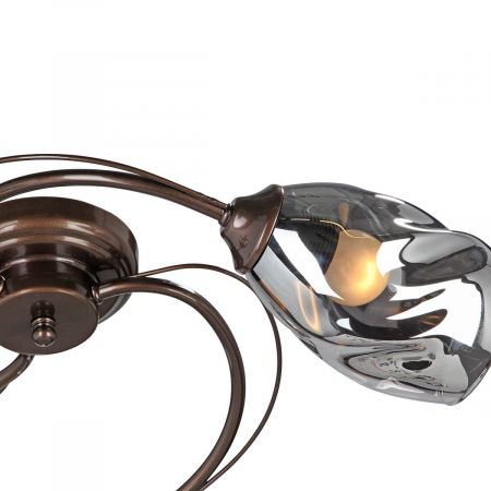 Vitaluce V4937-7/3PL