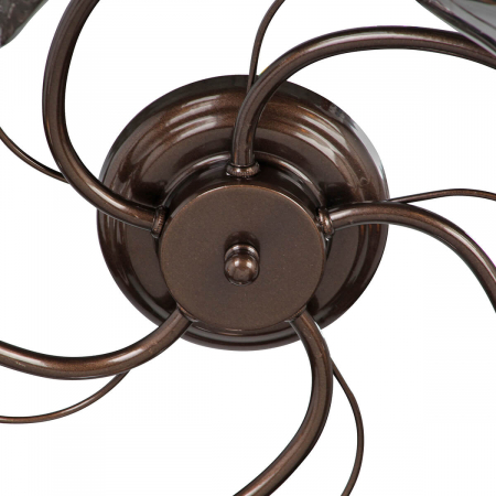 Vitaluce V4937-7/5PL