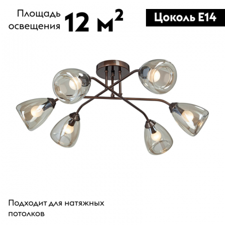 Vitaluce V4954-7/6PL