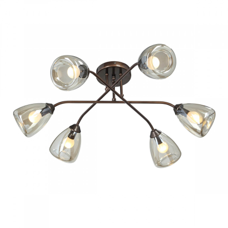 Vitaluce V4954-7/6PL