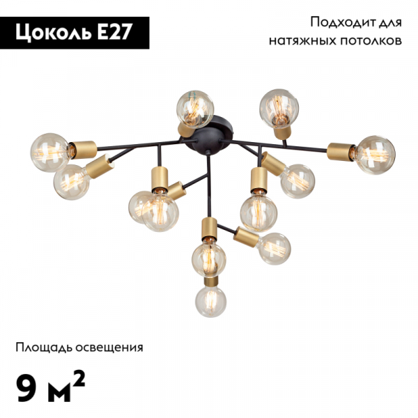 Потолочная люстра Vitaluce V4959-1/12PL