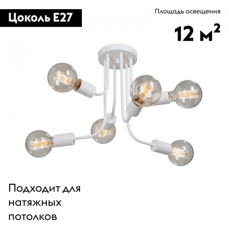 Vitaluce V4960-0/6PL