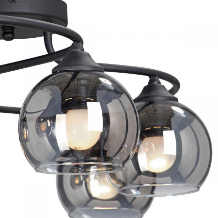 Vitaluce V4965-1/6PL