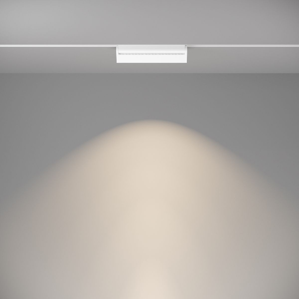 Трековый светильник Maytoni Technical Magnetic track TR013-2-20W4K-W