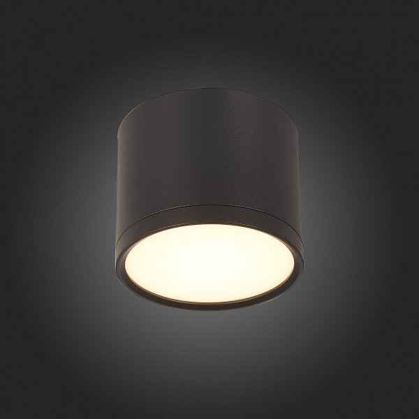 Потолочный светильник ST Luce Rene ST113.432.09