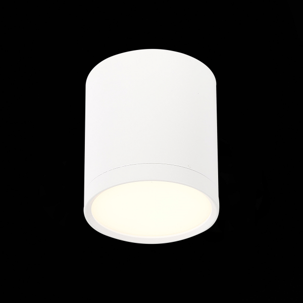 Потолочный светильник ST Luce Rene ST113.532.05