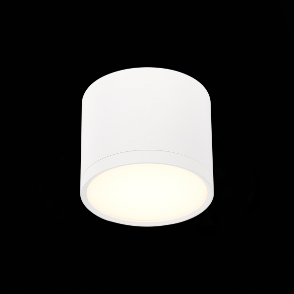 Потолочный светильник ST Luce Rene ST113.532.09