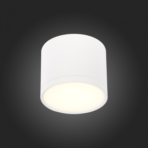 Потолочный светильник ST Luce Rene ST113.532.09