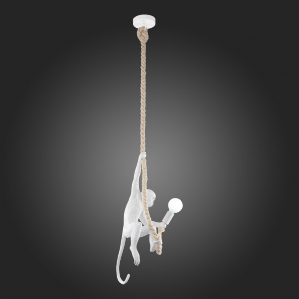 Подвесной светильник Evoluce Tenato SLE115103-01