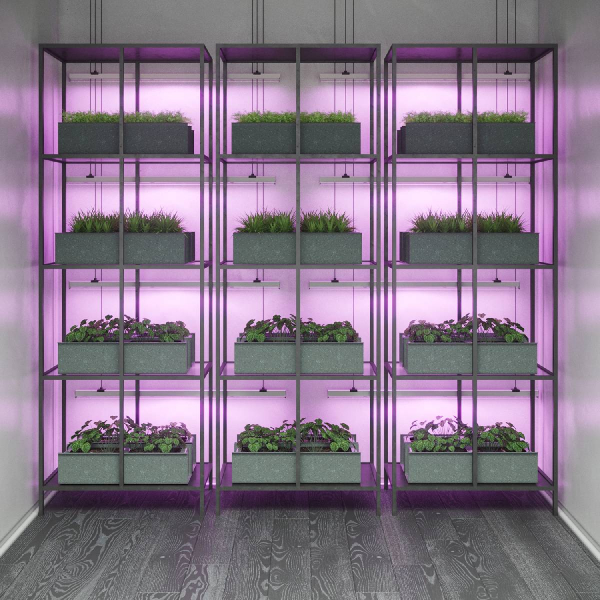 Настенный светильник Gauss Fito Led TL 130411912