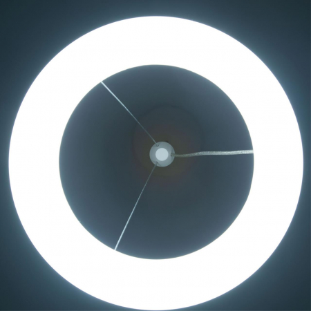 Citilux CL225B110