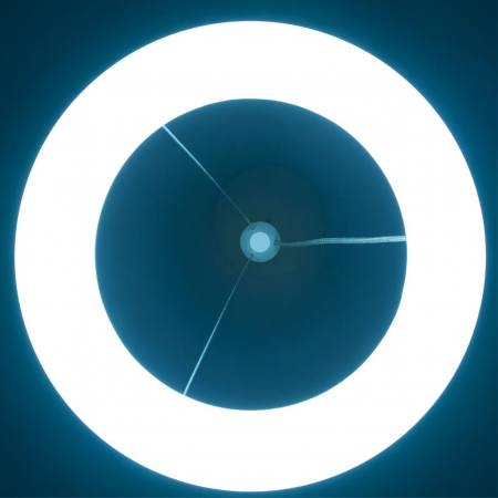 Citilux CL225B110