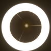 Citilux CL225B110