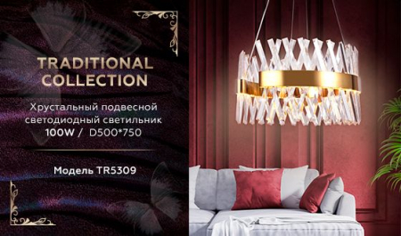 Ambrella Light TR5309