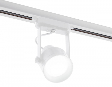 Ambrella Light C6601