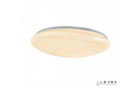 iLedex ZD5106 SS-50W WH