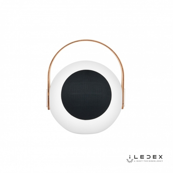 Настольная лампа iLedex Giggle EYS0970-CH WH