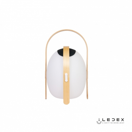 iLedex OVS1100-CH WH