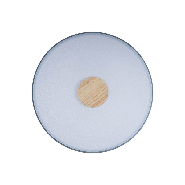 Потолочный светильник Loft IT AXEL 10003/24 Grey