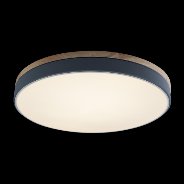 Потолочный светильник Loft IT AXEL 10001/36 Grey