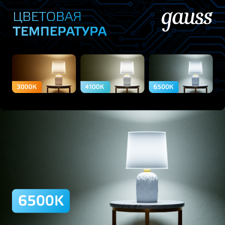 GAUSS 106002309