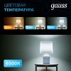 GAUSS 106002309