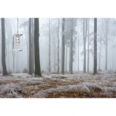 Simple Story 1095-1PL