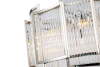iLamp MD0276-6C Nic